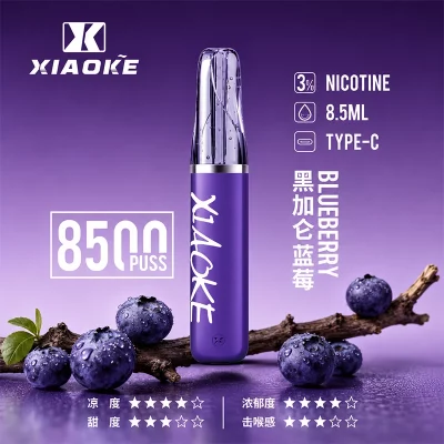 XIAOKE梟客拋棄式電子煙 8500口-黑加侖藍莓口味